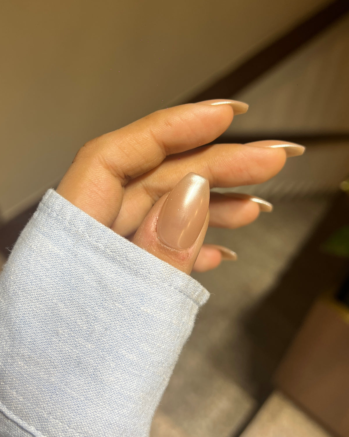 Hailey Chrome BROWN
