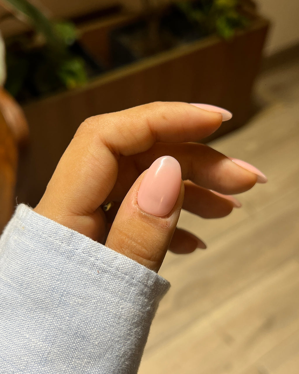 Rose Mani