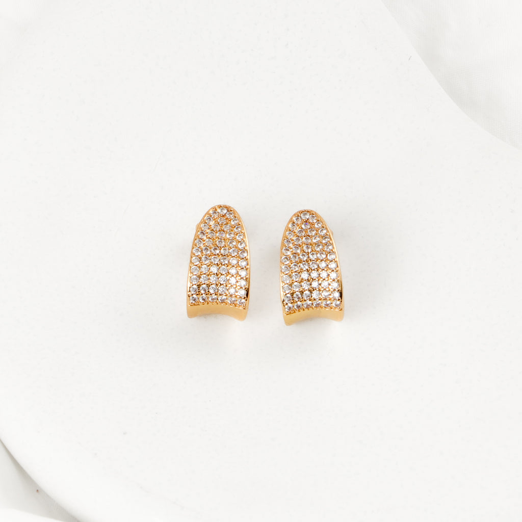 Gleam Earrings