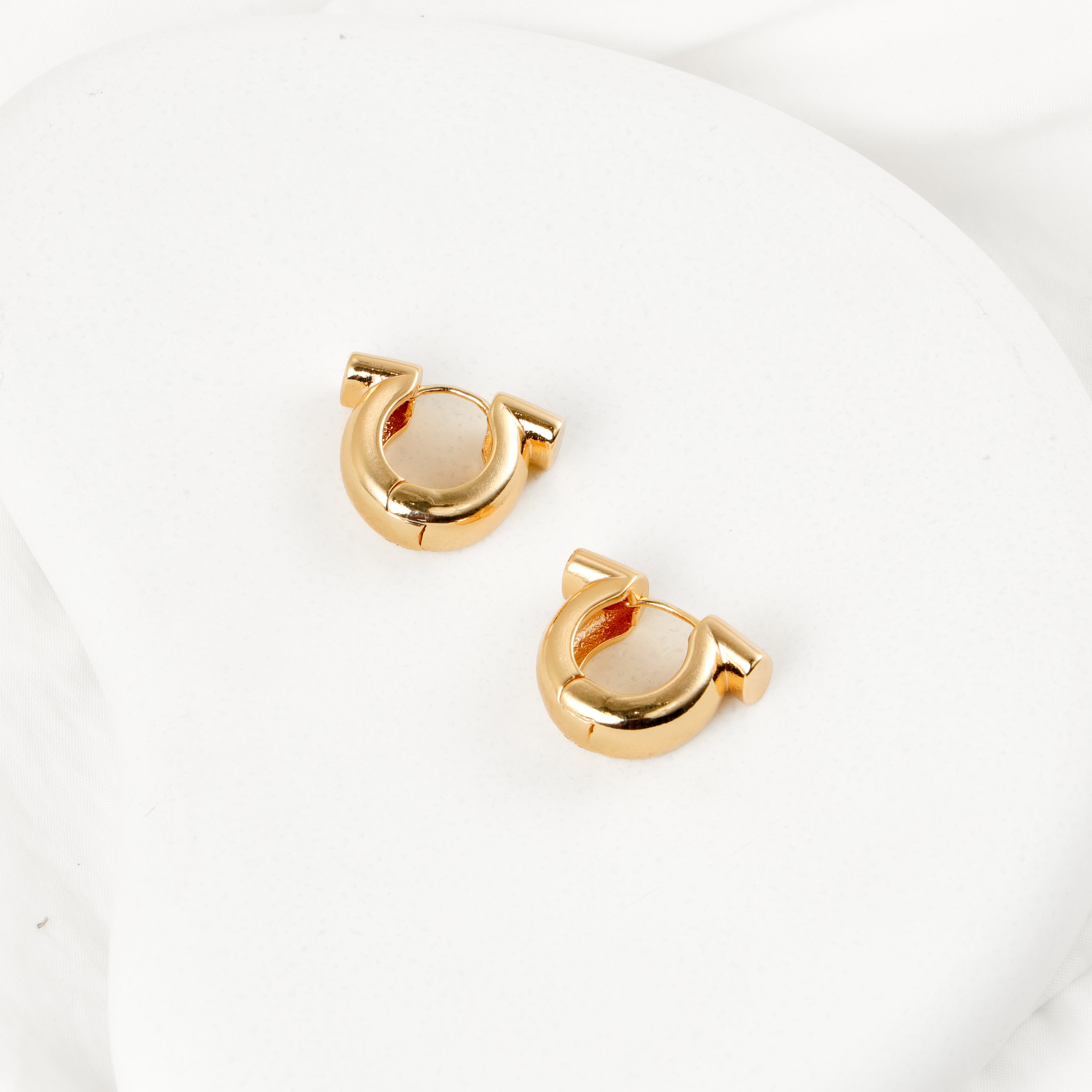 Swing Hoop Earrings