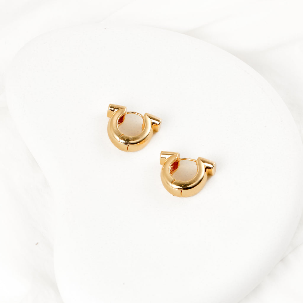 Swing Hoop Earrings