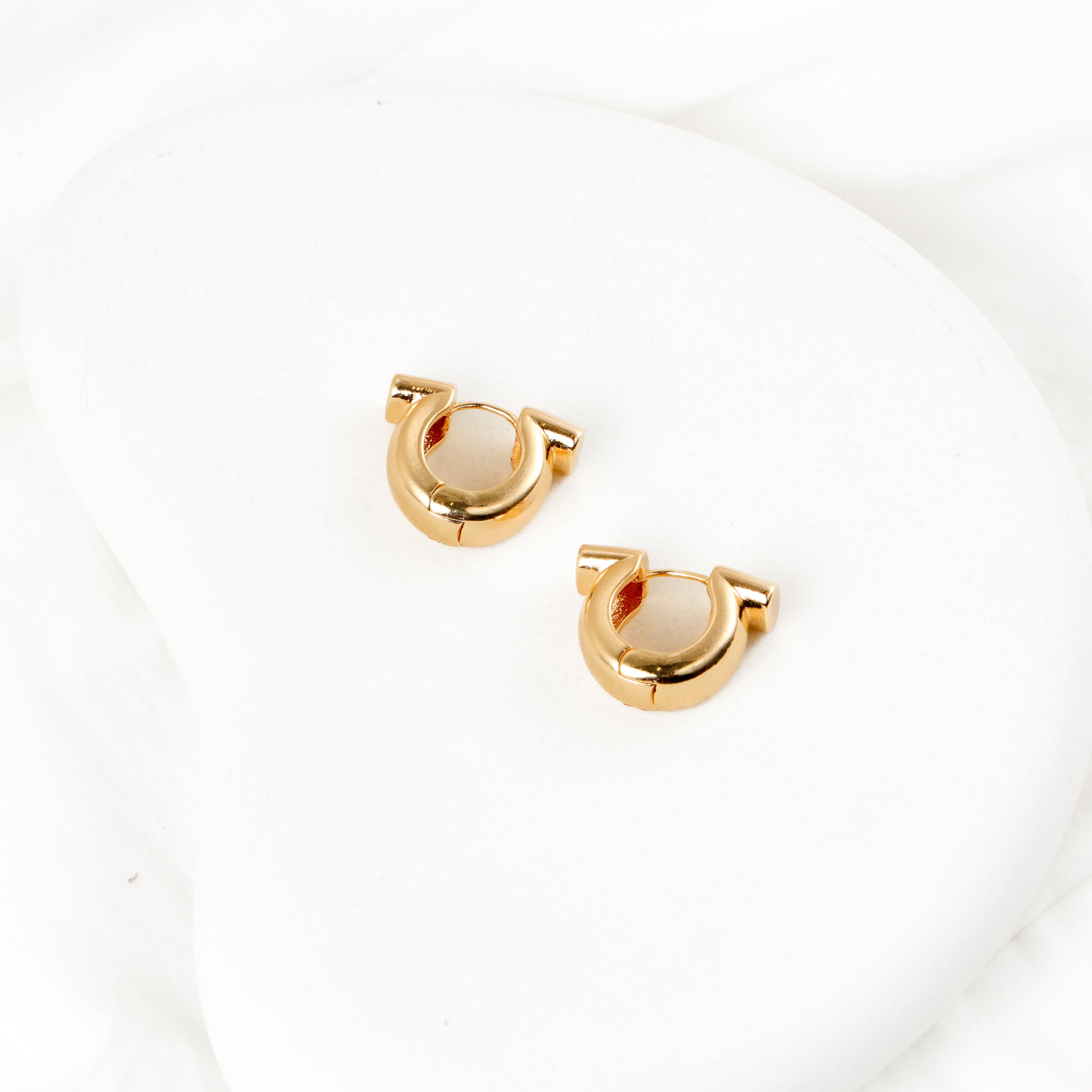 Swing Hoop Earrings