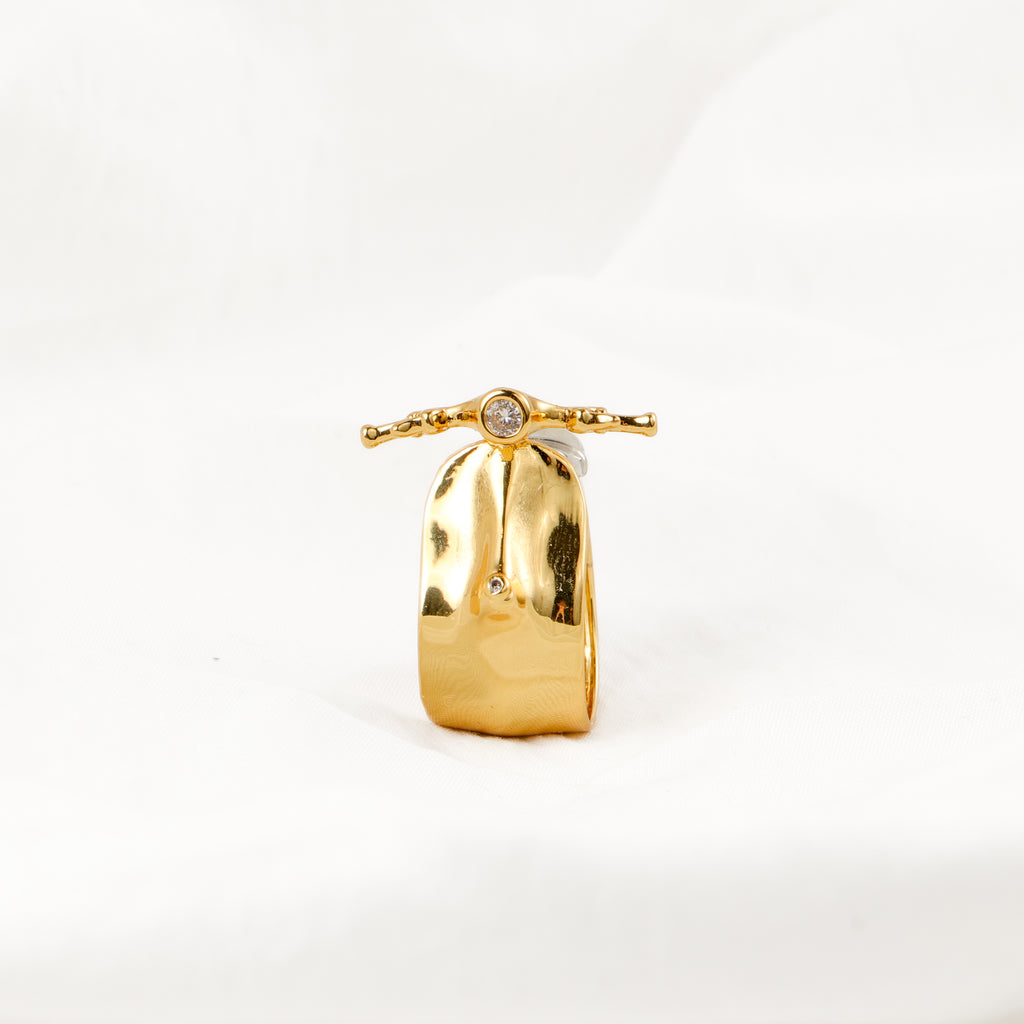Scooter Ring