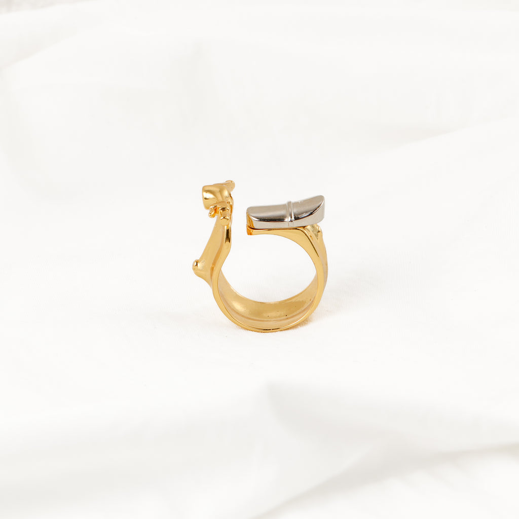 Scooter Ring