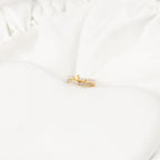 Treasure Fly Ring