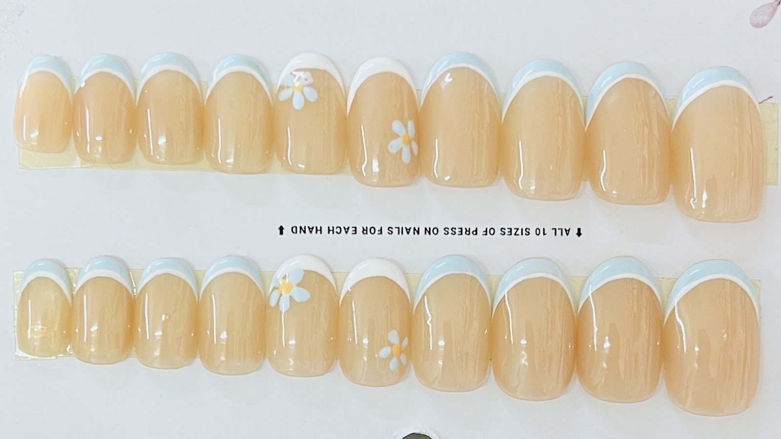 Daisy Drift French BLUE Tips