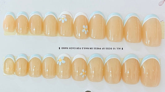 Daisy Drift French BLUE Tips