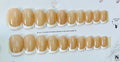 Classic French WHITE Tips