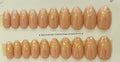 Velvet Teddy Foil Press Ons