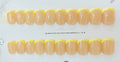 Classic French BUTTERYELLOW Tips (Foil)